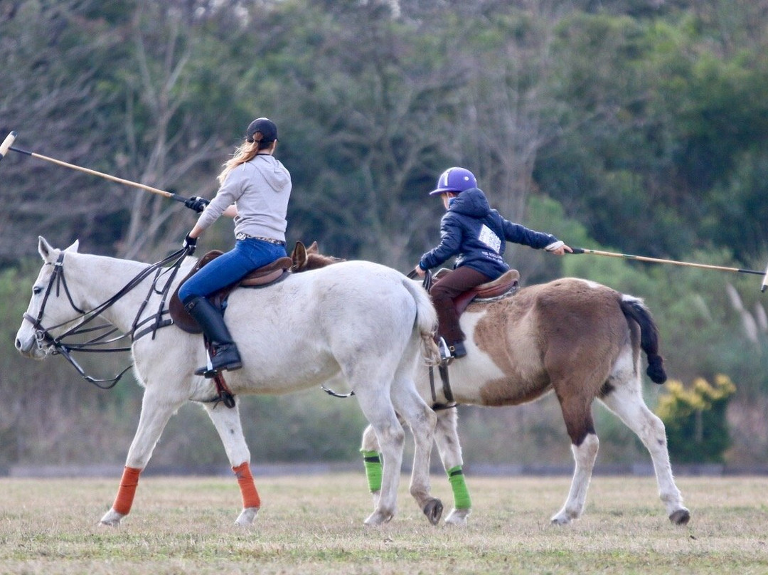 Polo in Buenos Aires景点图片