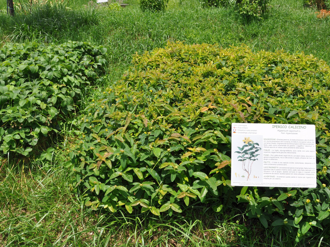 Giardino di Don Zocca-Badia Calavena必去景点