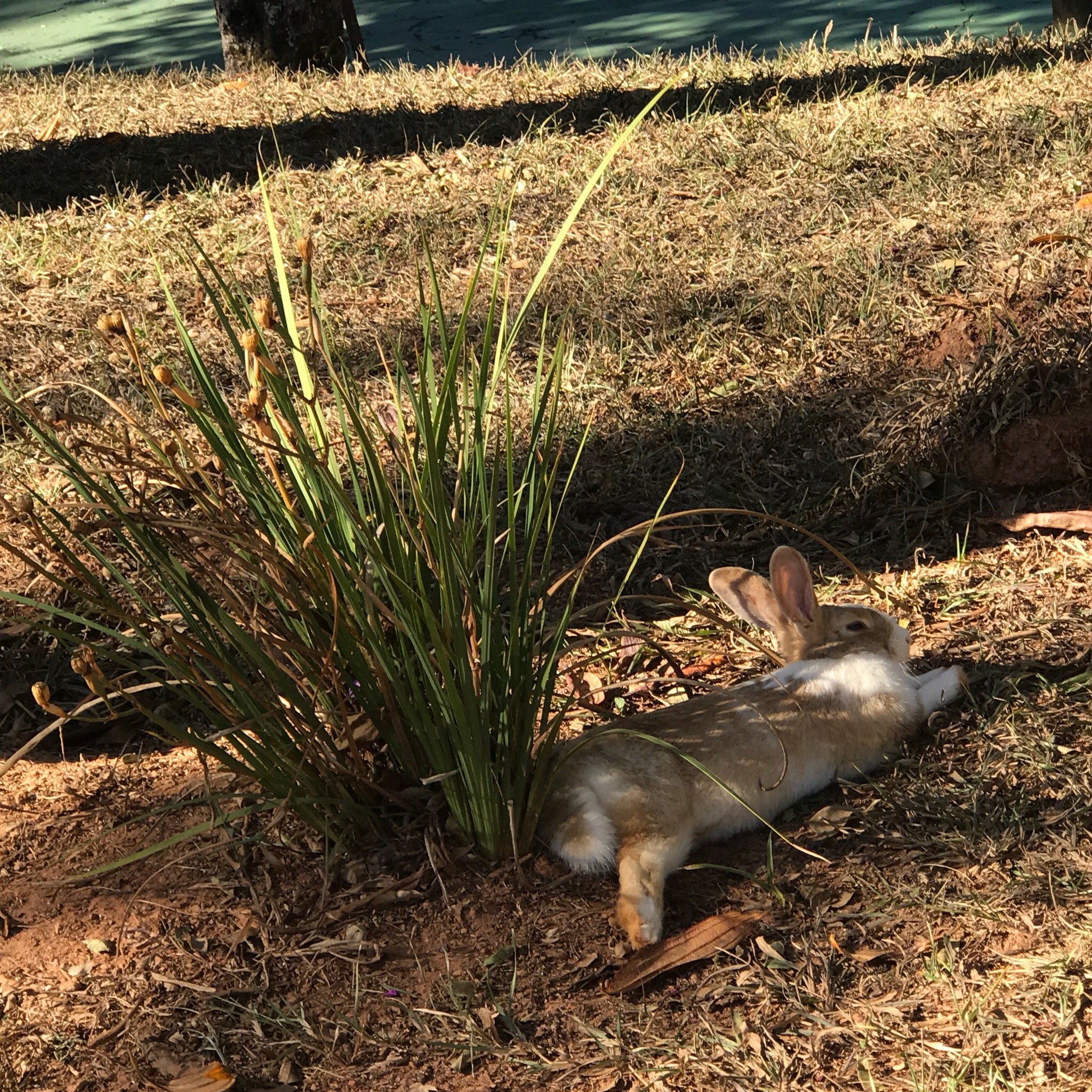 Guarany Eco Resort-浴室