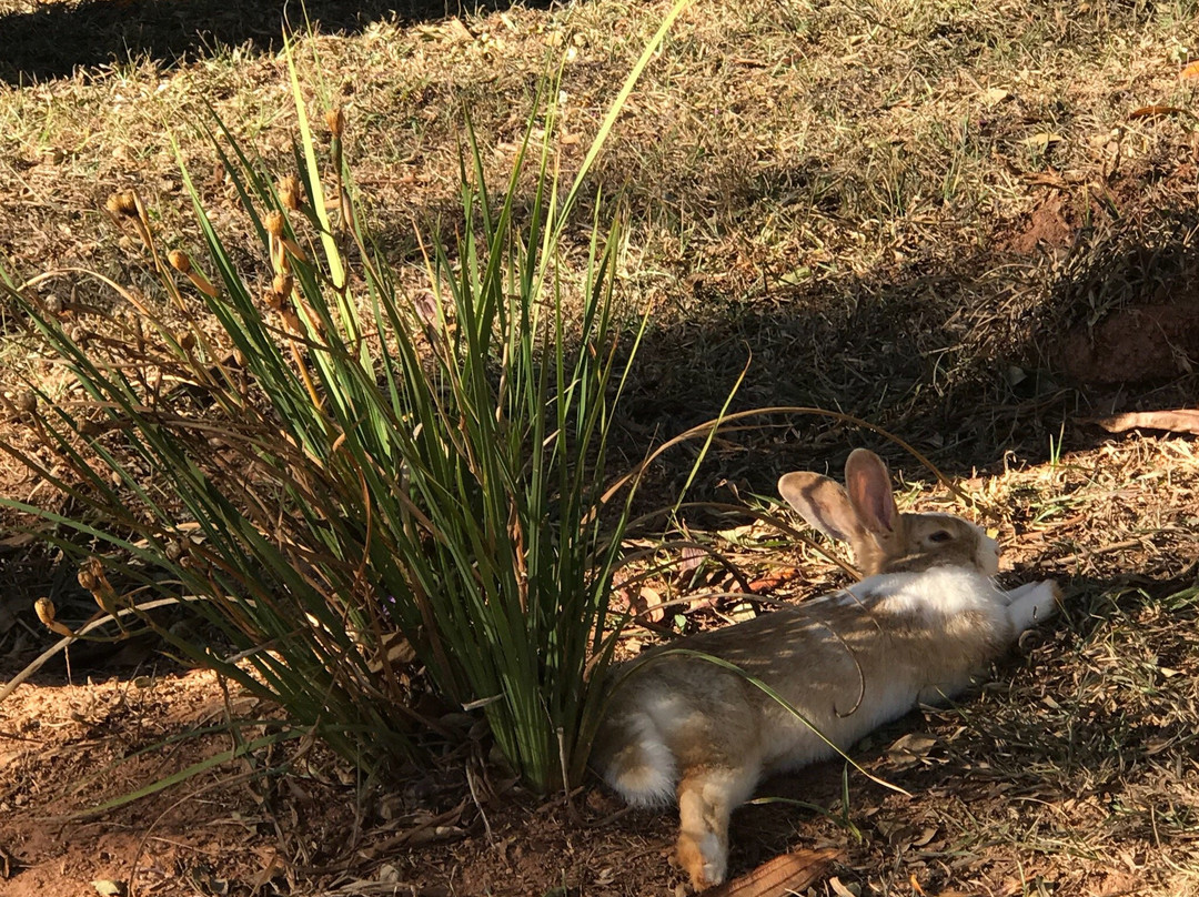 Guarany Eco Resort主图