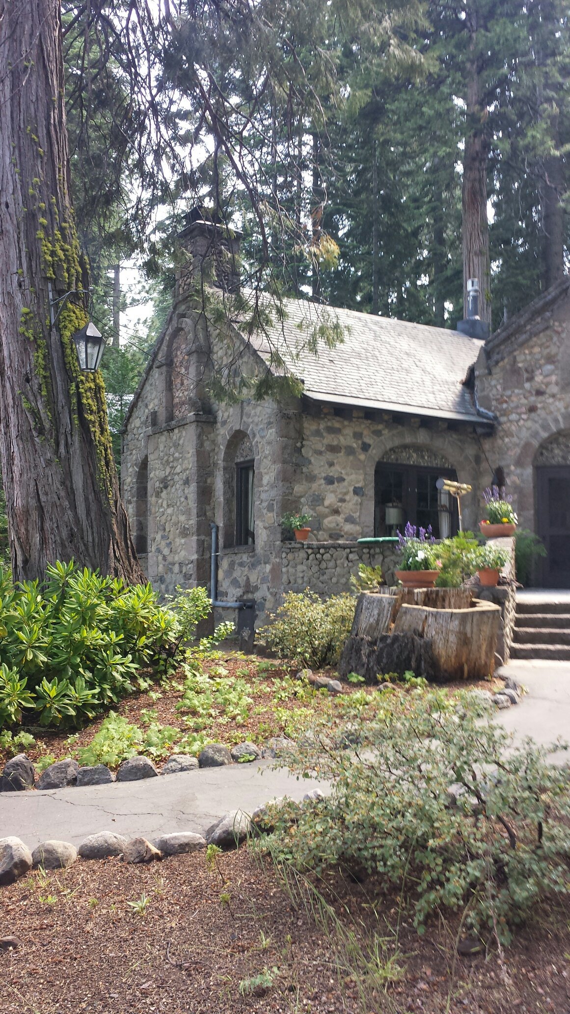 Chaney House-官方