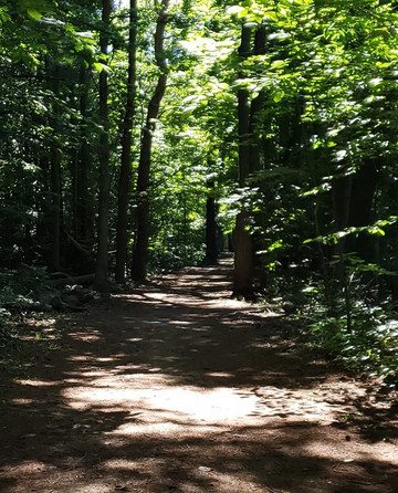Casey Park-Ontario必去景点