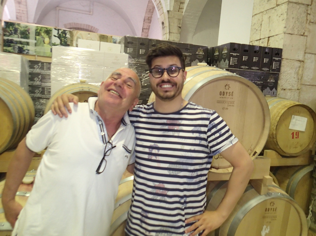 Cantina Albea winery and museum景点图片