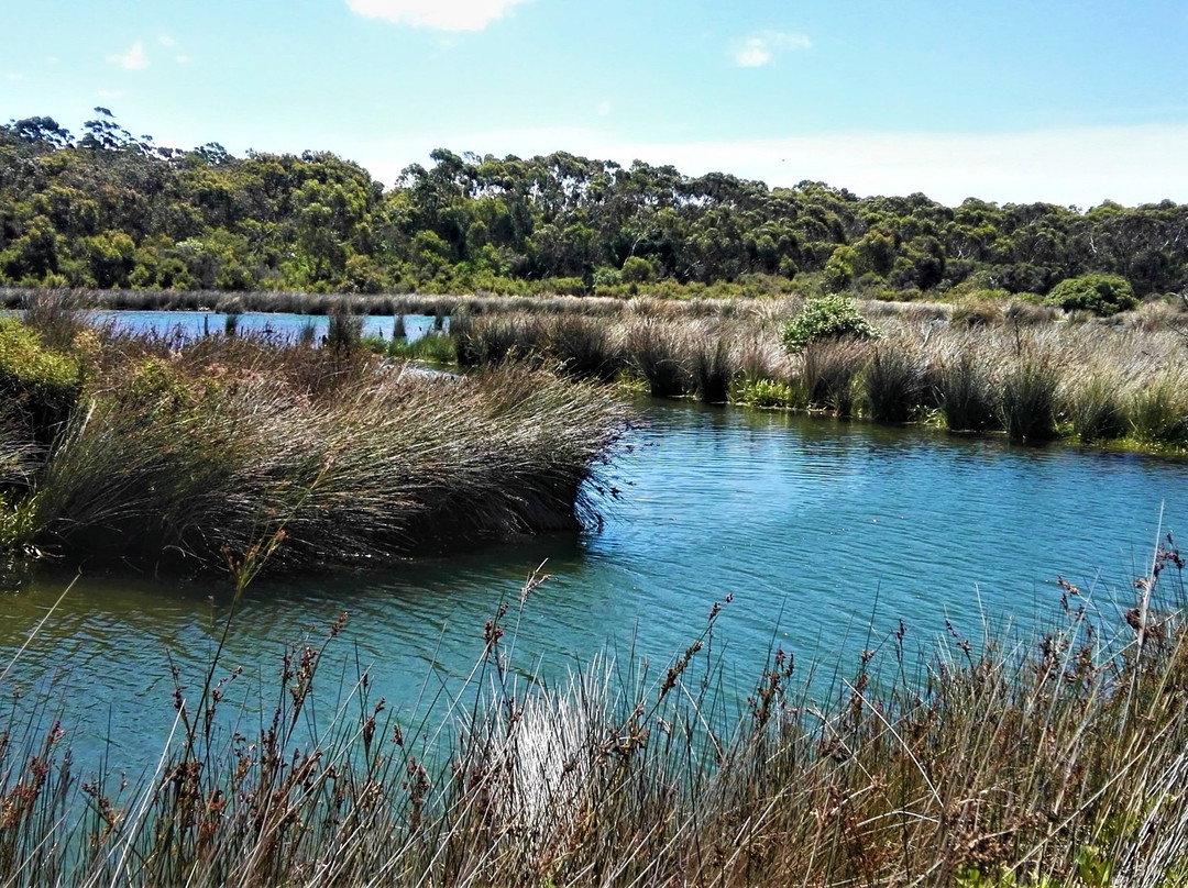 Anglesea Riverbank-安格尔西岛必去景点