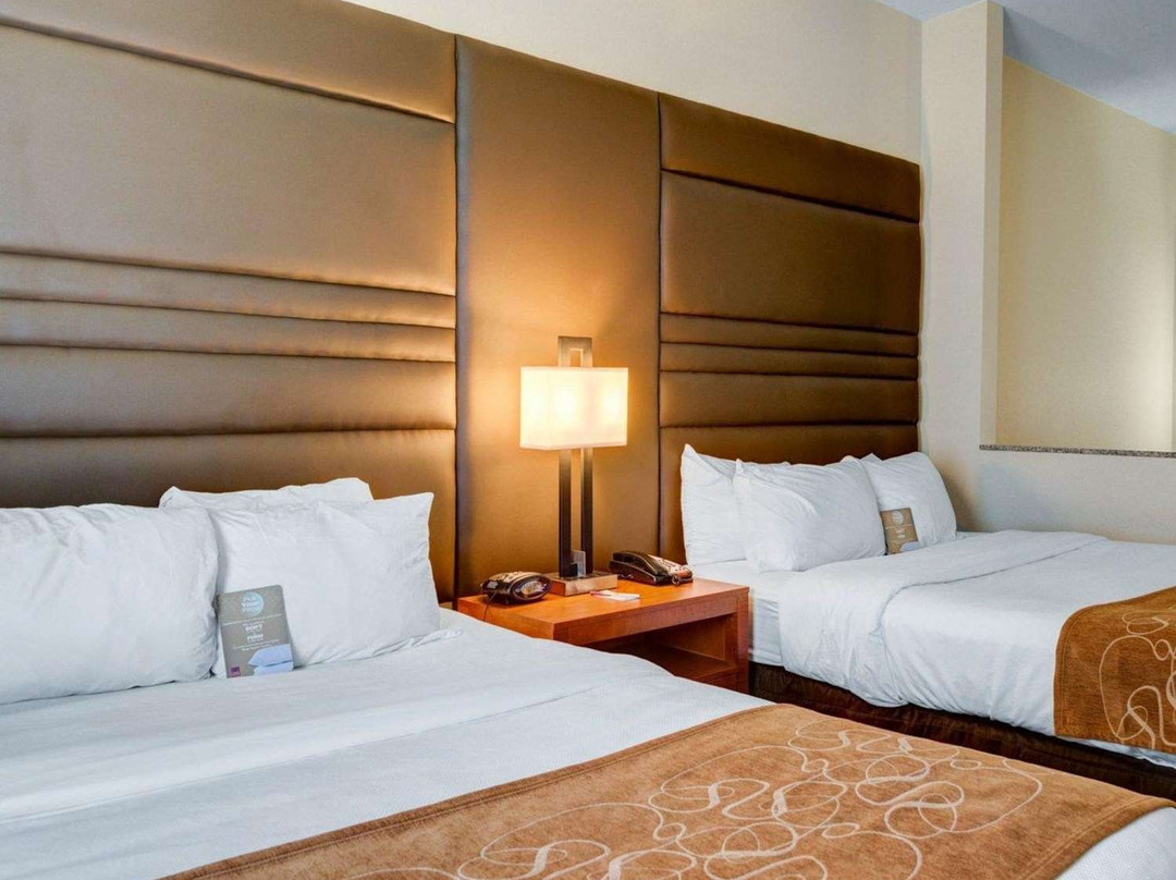 Comfort Suites主图