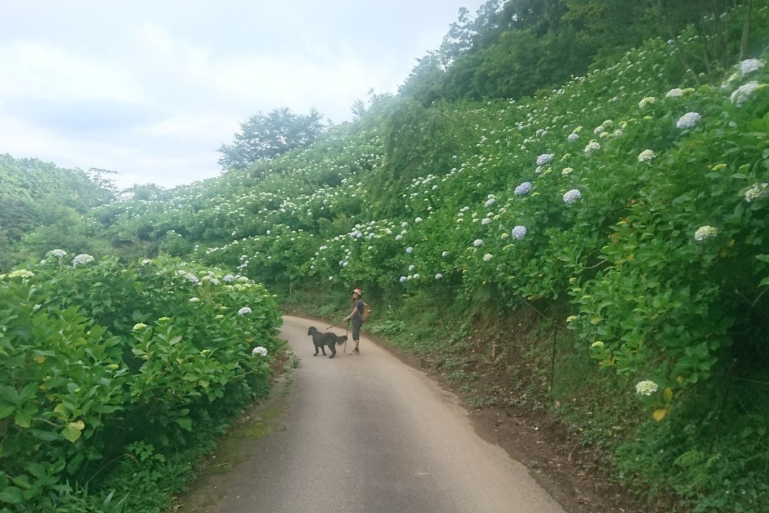 Myohoshoji Temple-大多喜町必去景点