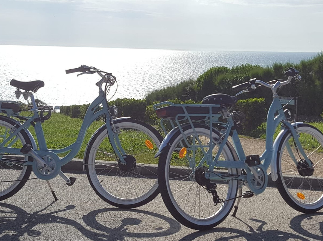 Marty Bike Rental景点图片