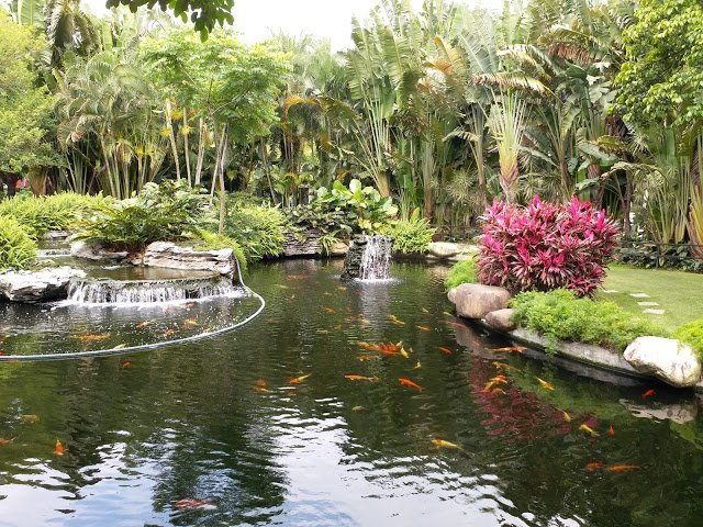 东莞华庭花园酒店(东莞厚街国际展览中心店)-泳池