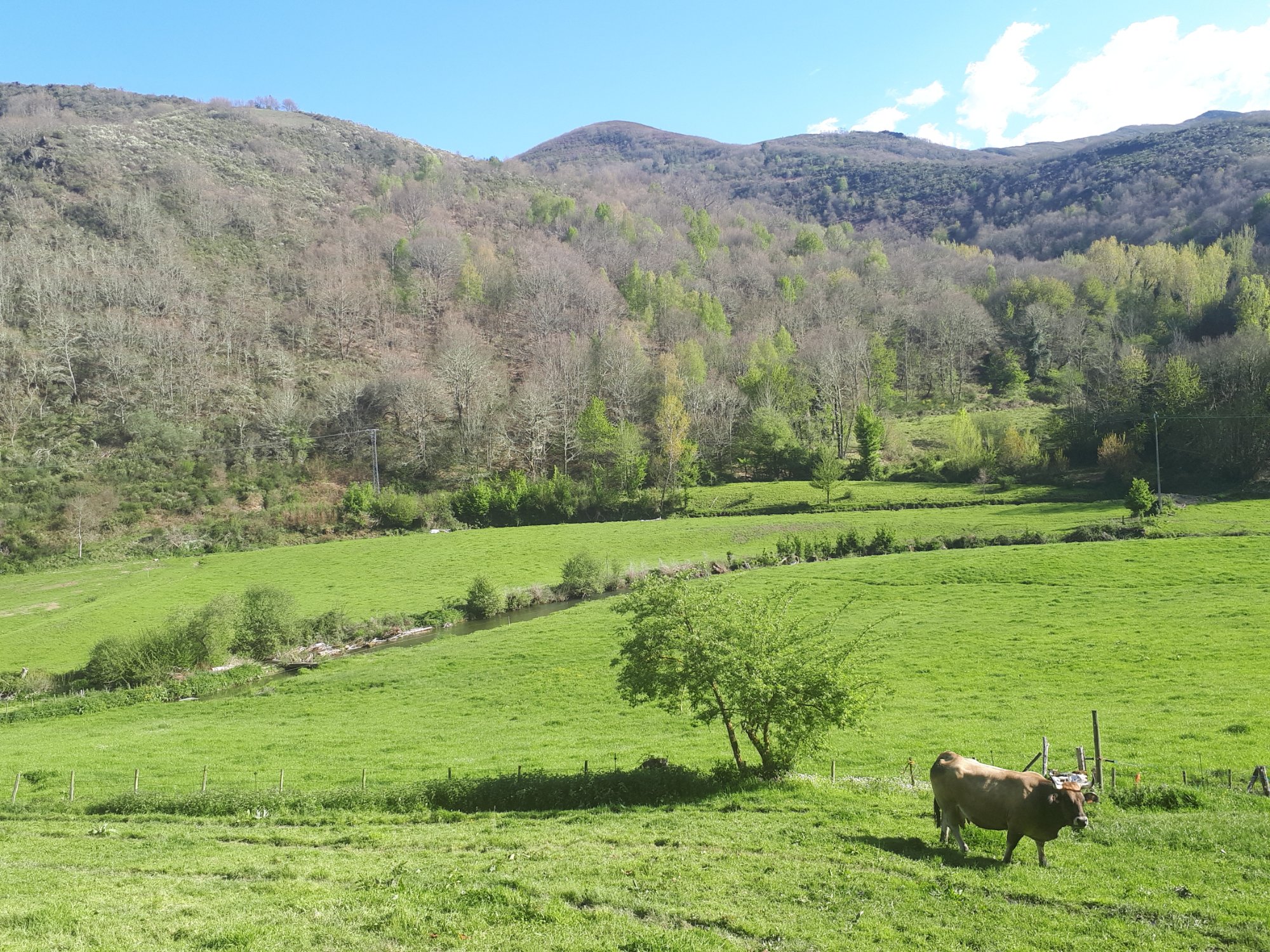 Paraiso del Bierzo-浴室