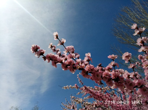 音河水库-甘南县必去景点