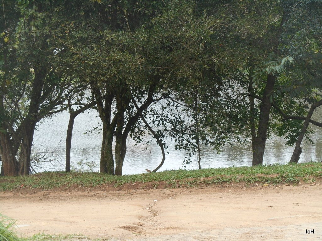 Lago Taruma景点图片