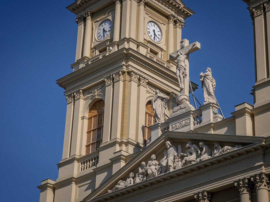 Cathedral of the Divine Saviour景点图片