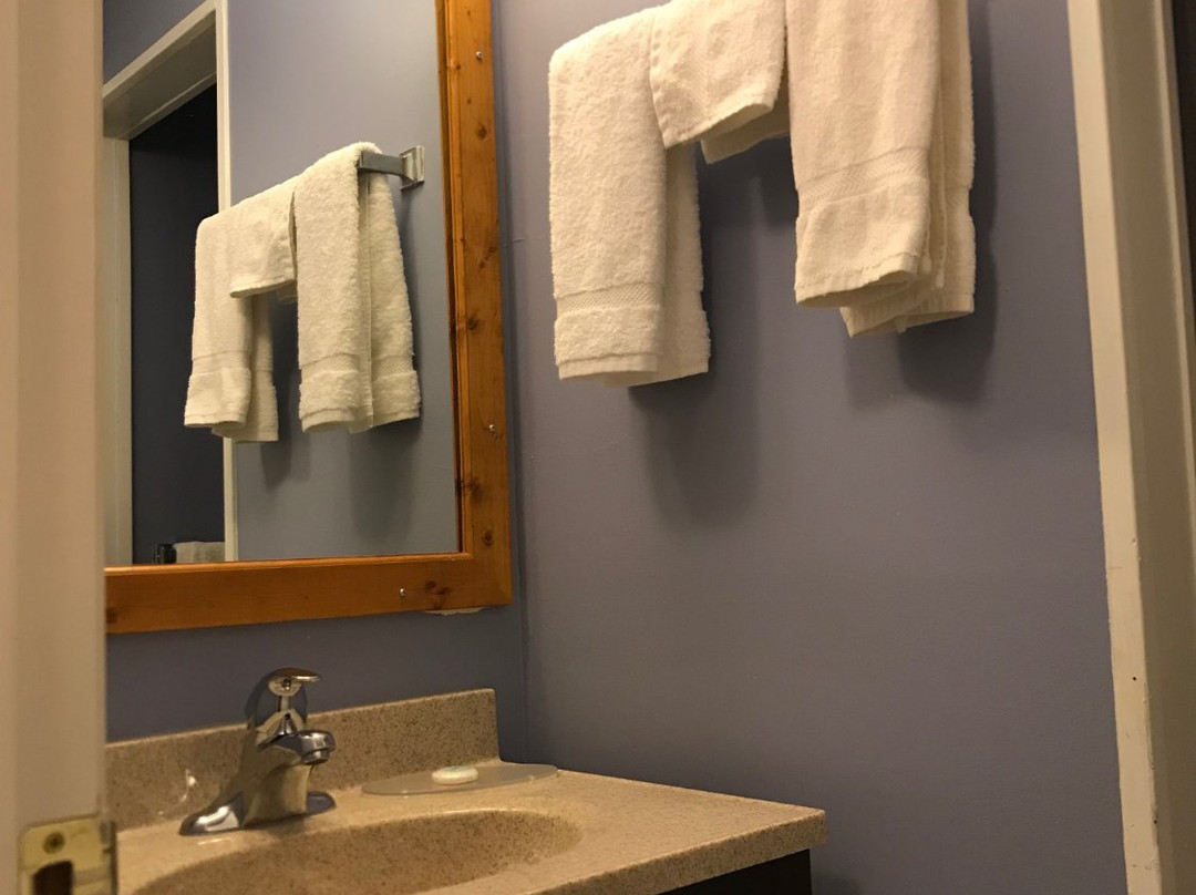 The Little Chalet Motel主图