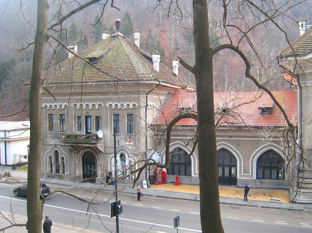 Sinaia Railway Station-锡纳亚必去景点