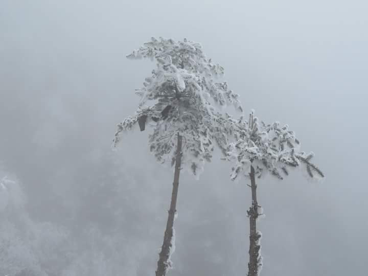 Life on Wheels-古瓦哈提必去景点