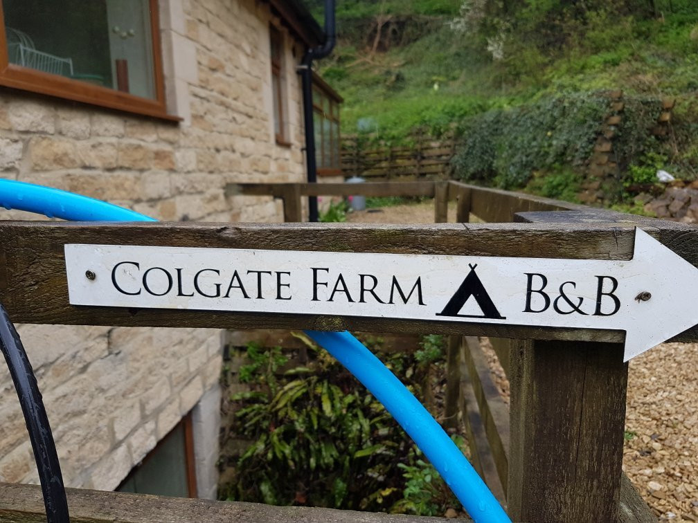 Colgate Farm主图