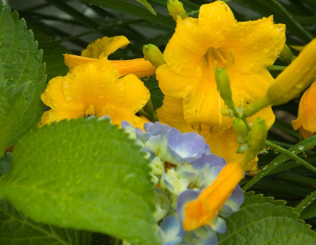 Inn at Smith Cove主图