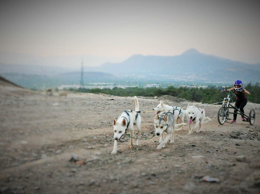 Husky Point-Curacautin必去景点
