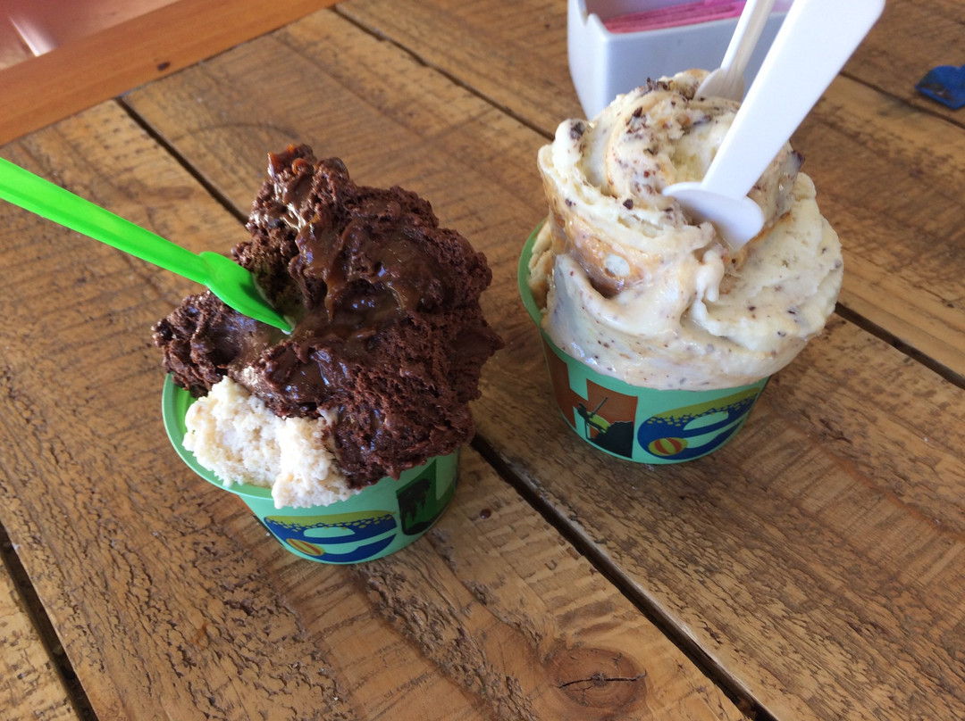 Ovejitas de la Patagonia