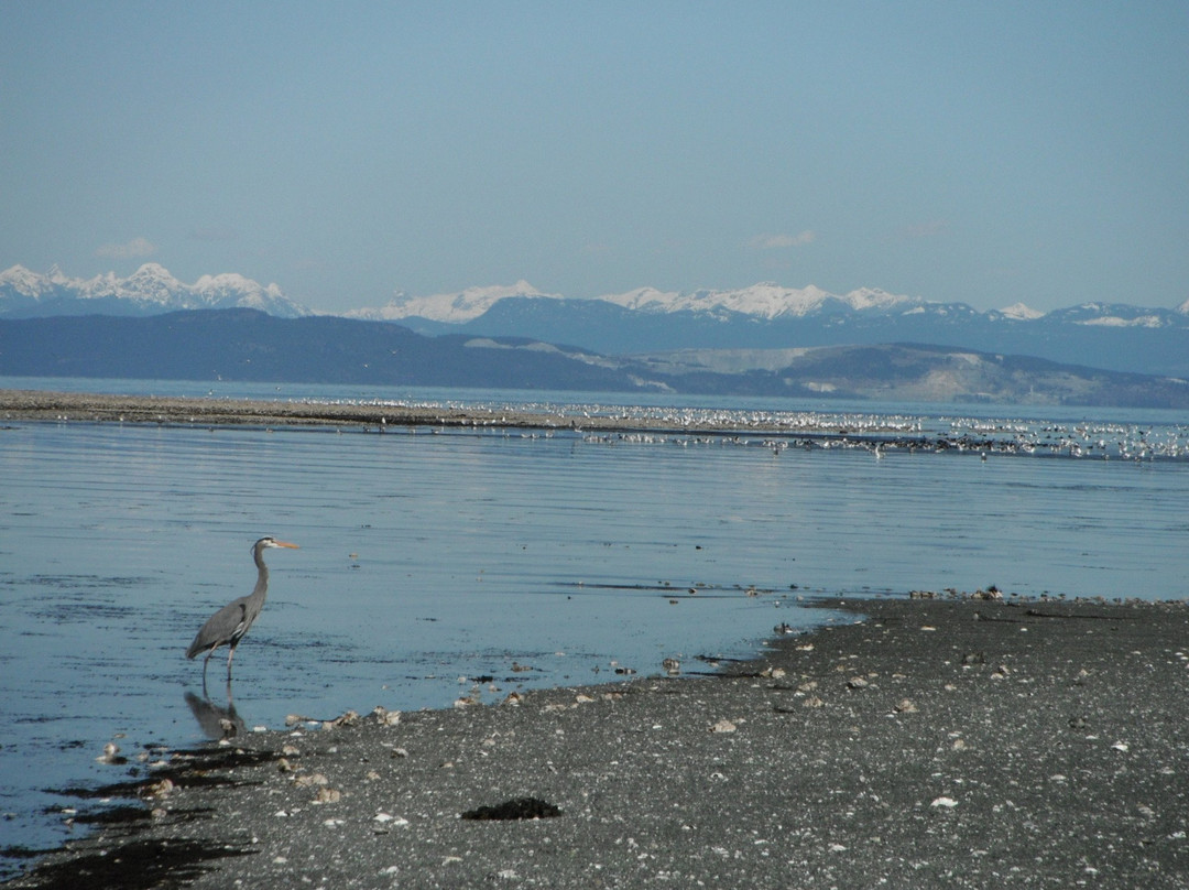 Fillongley Provincial Park景点图片