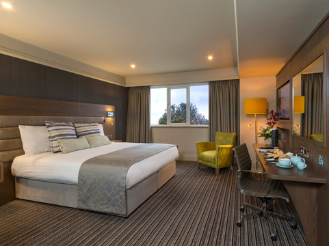 都柏林丽晶大酒店主图