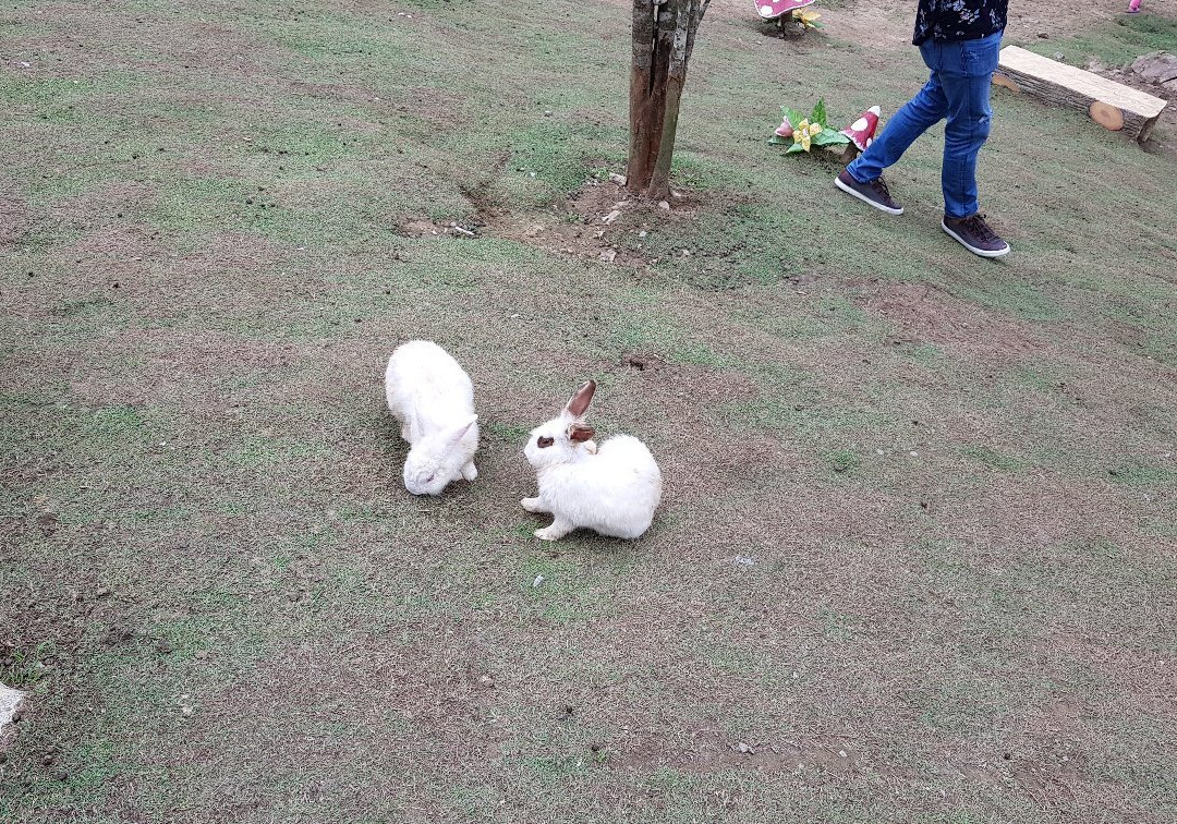 Arnab Village-拉瑙必去景点