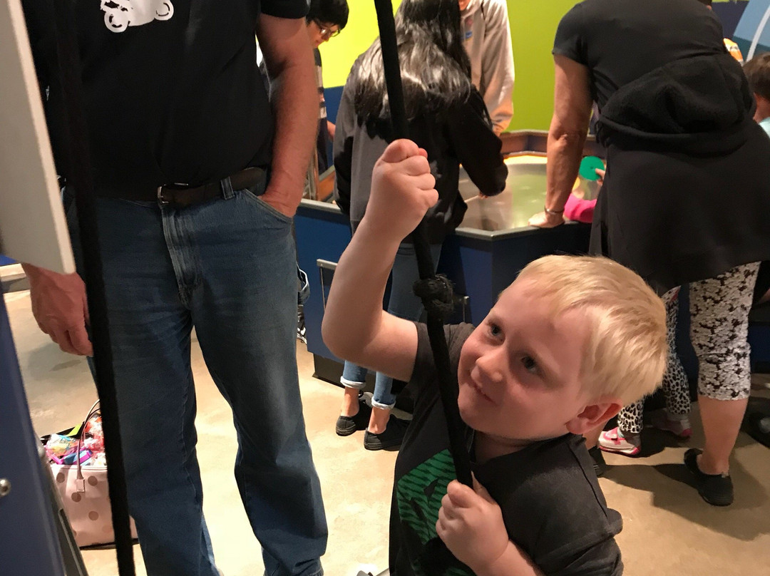 Fort Bend Children's Discovery Center-舒格兰必去景点