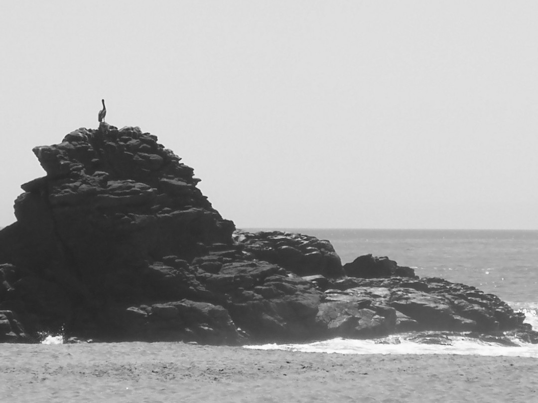 Playa Mermejita-Mazunte必去景点