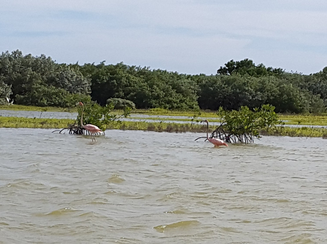 365flamingo-蓬塔卡纳必去景点