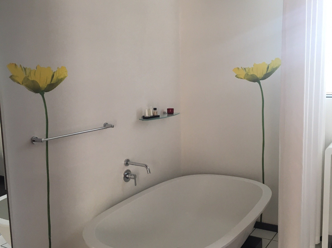 B&B Sauvignon Country Lodge主图