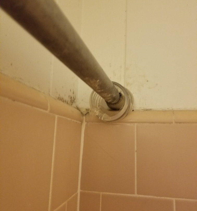 Tip Top Motel, Cafe, & Bakery主图