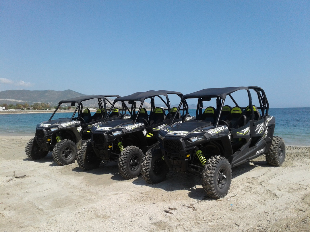 Quadgirl ATV/UTV Rentals-Los Barriles必去景点