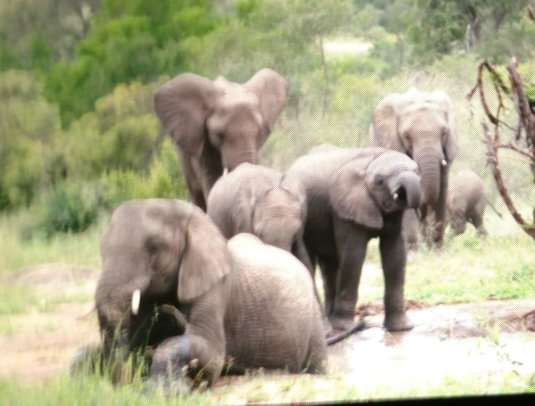 Buffalo Hotel-浴室