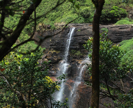Travelling Sri Lanka-康提必去景点