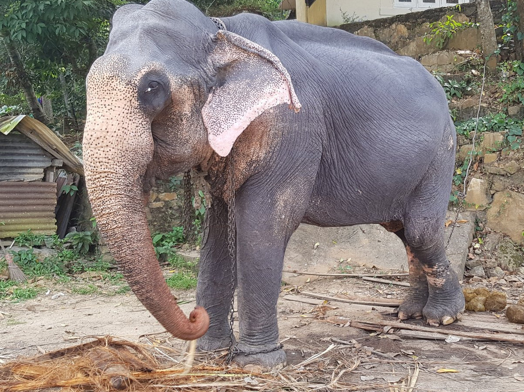 Molagoda旅游攻略图片