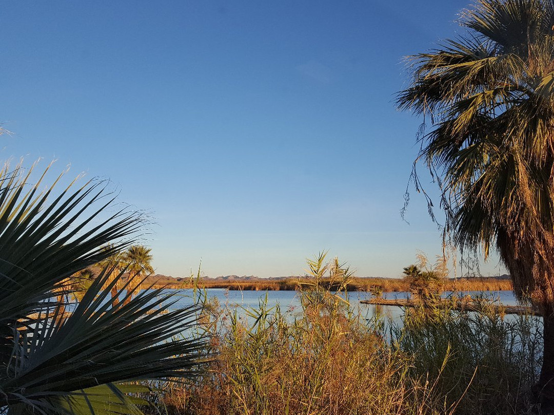 Mittry Lake Wildlife Area-尤马必去景点