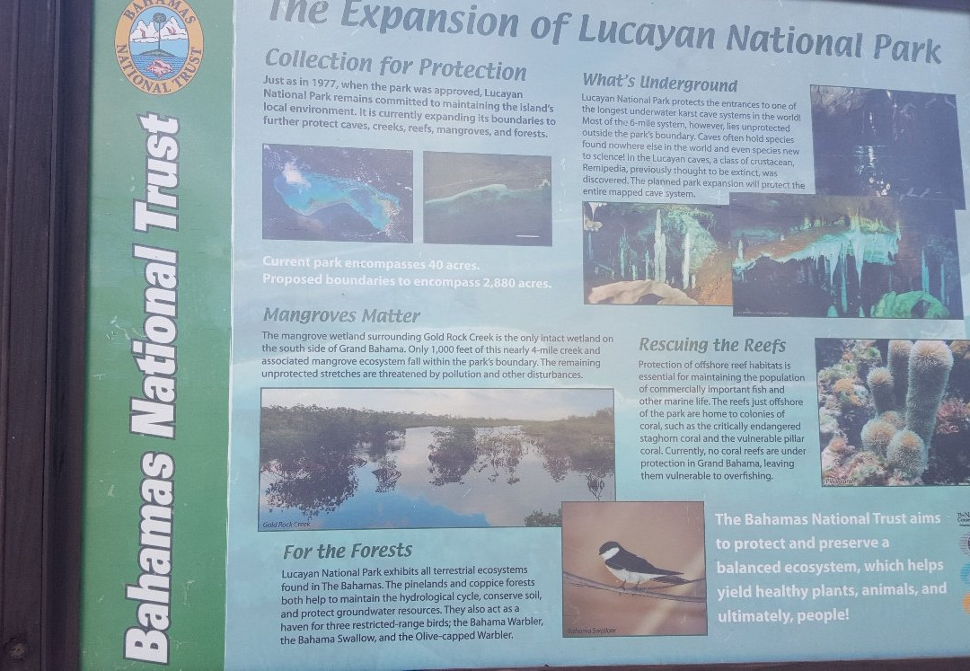 Lucayan National Park景点图片