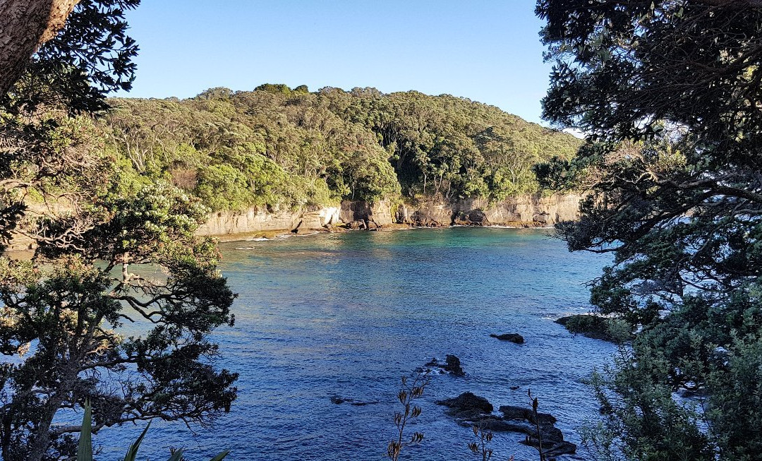 Goat Island Dive & Snorkel景点图片