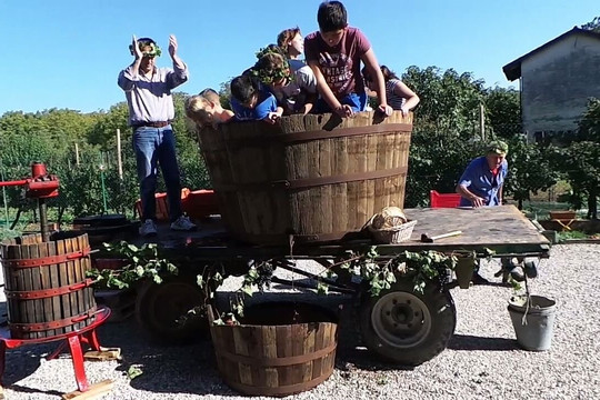 Cantina Vini Lavaroni