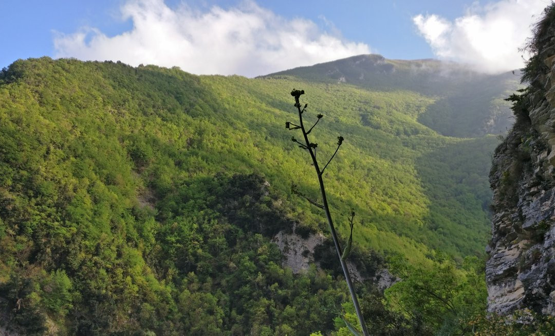 Ripe旅游攻略图片