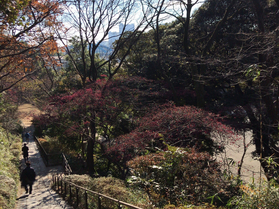 Denenchofu Seseragi Park-大田区必去景点