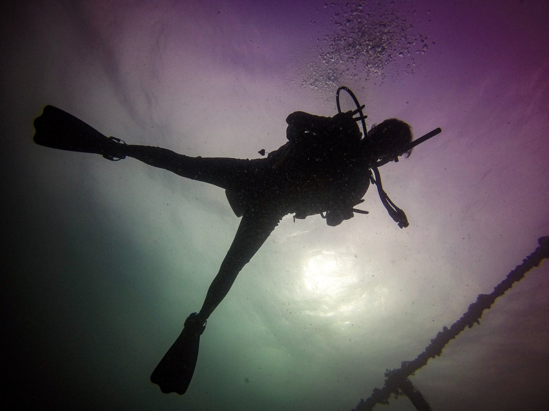 Bocas Pirates Dive Center景点图片