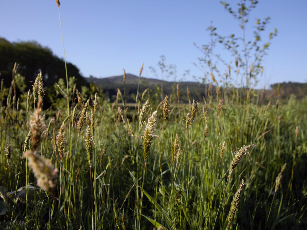Siletz Bay National Wildlife Refuge-林肯城必去景点