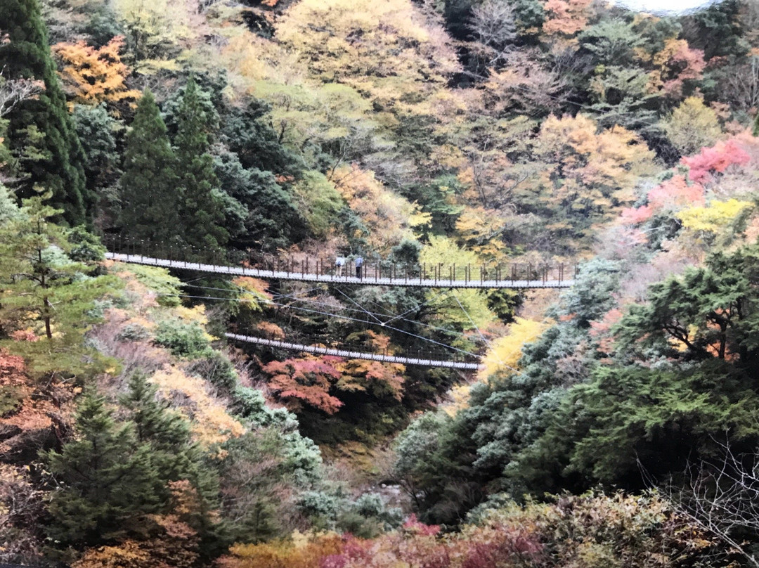 Momigi Suspension Bridge-八代市必去景点