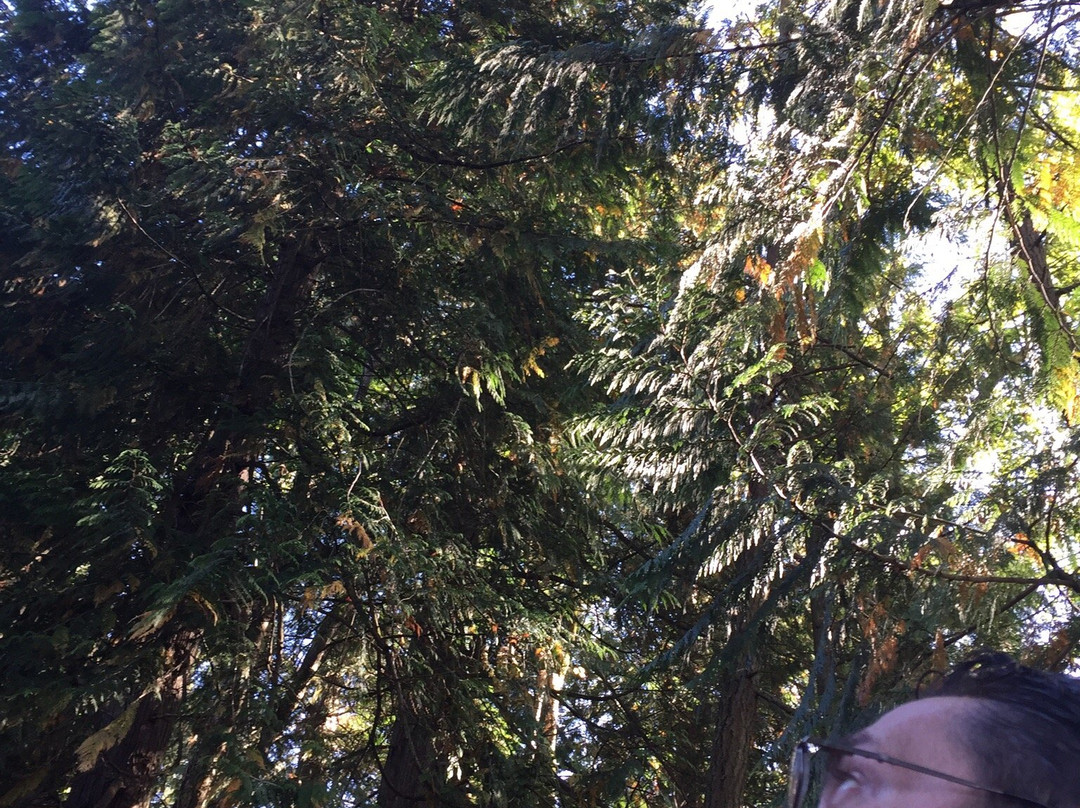 Wineries and Waterfalls Tour (Seatlle Tours)-西雅图必去景点