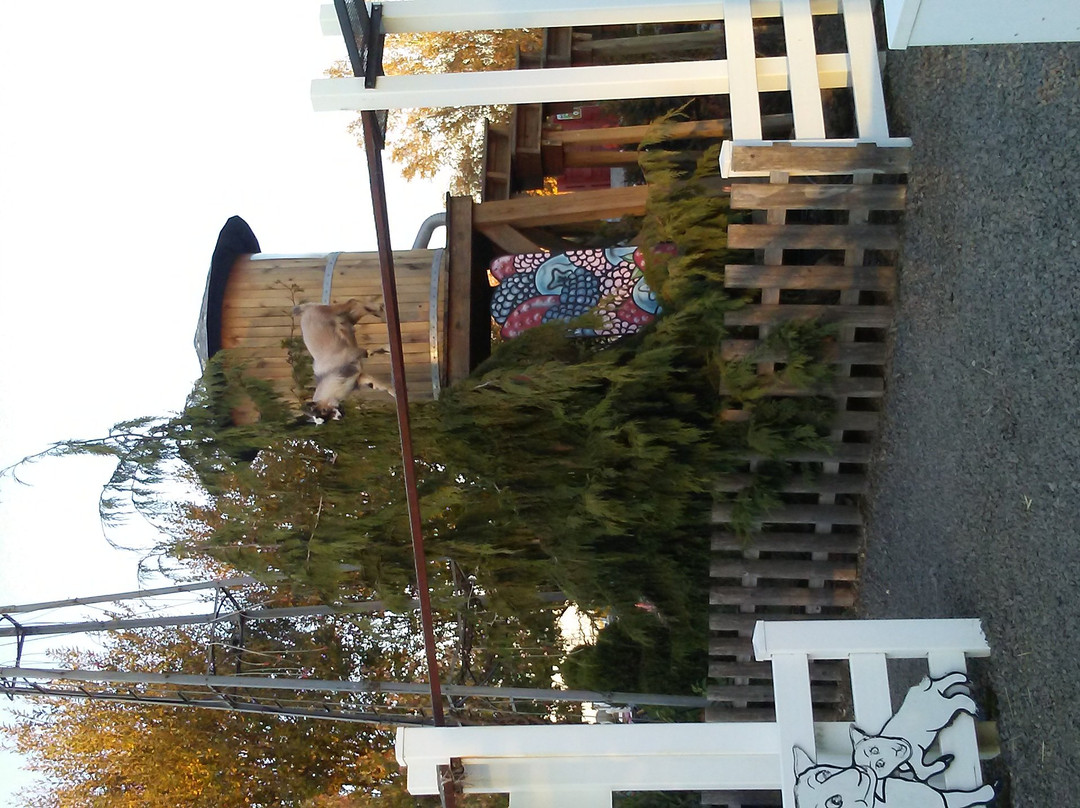 Bauman's Farm and Garden-Gervais必去景点