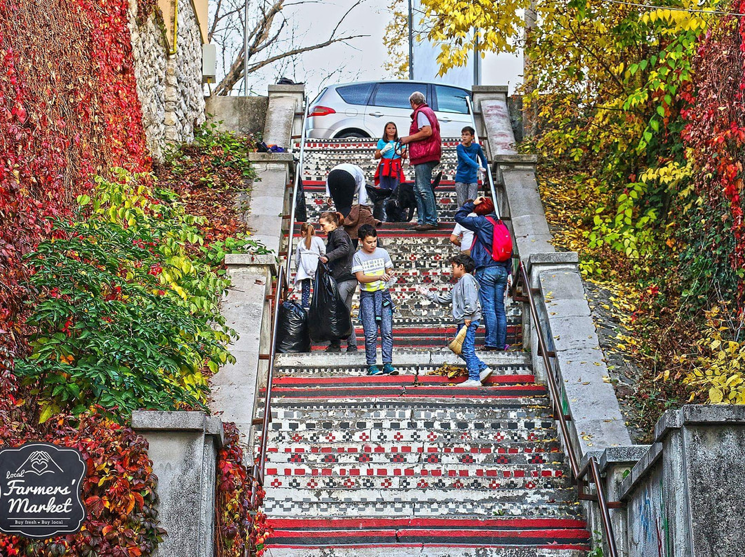 Rakoczi Staircase景点图片