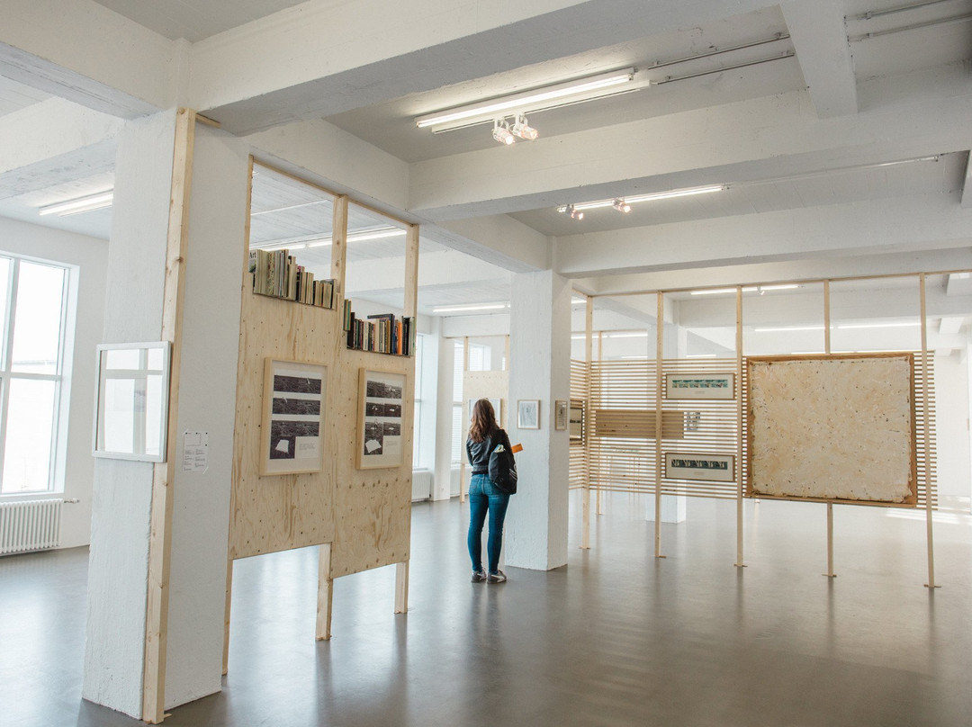 The Living Art Museum-雷克雅未克必去景点