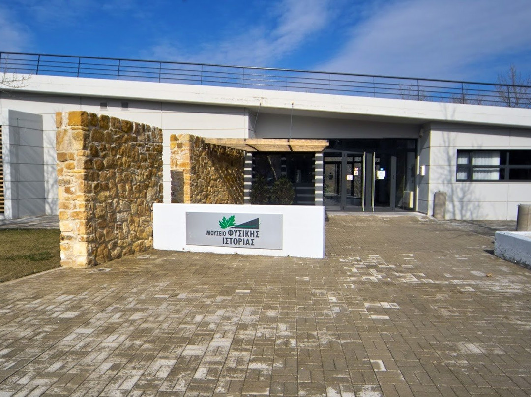 Alexandroupolis Natural History Museum-亚历山德鲁波利必去景点