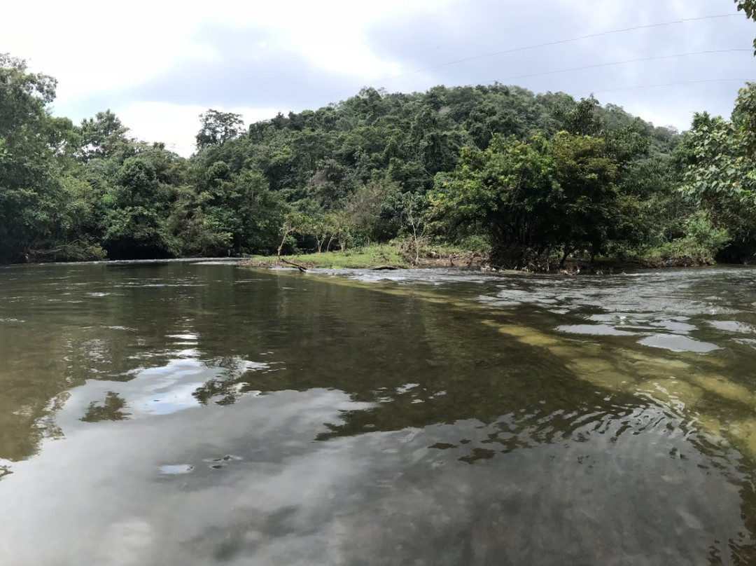 Konni Forest Reserve景点图片